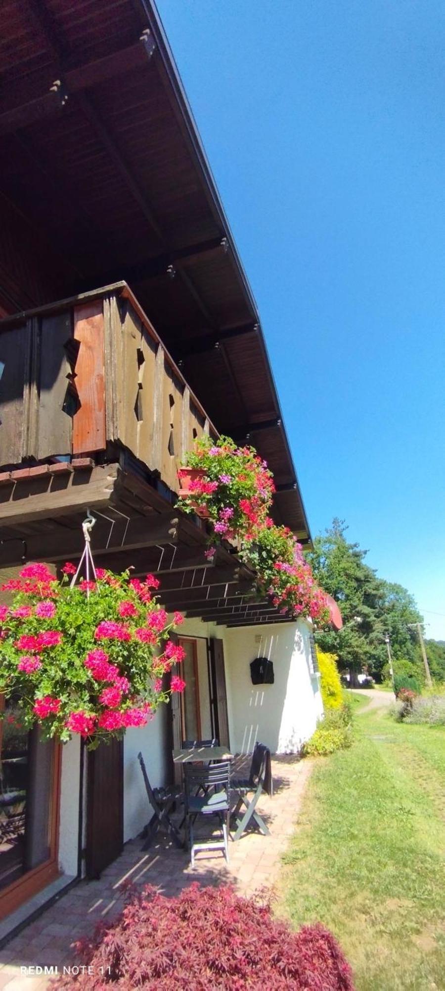 Chalet Au Bois Des Ecureuils Classe Trois Etoiles. Muhlbach-sur-Munster Extérieur photo