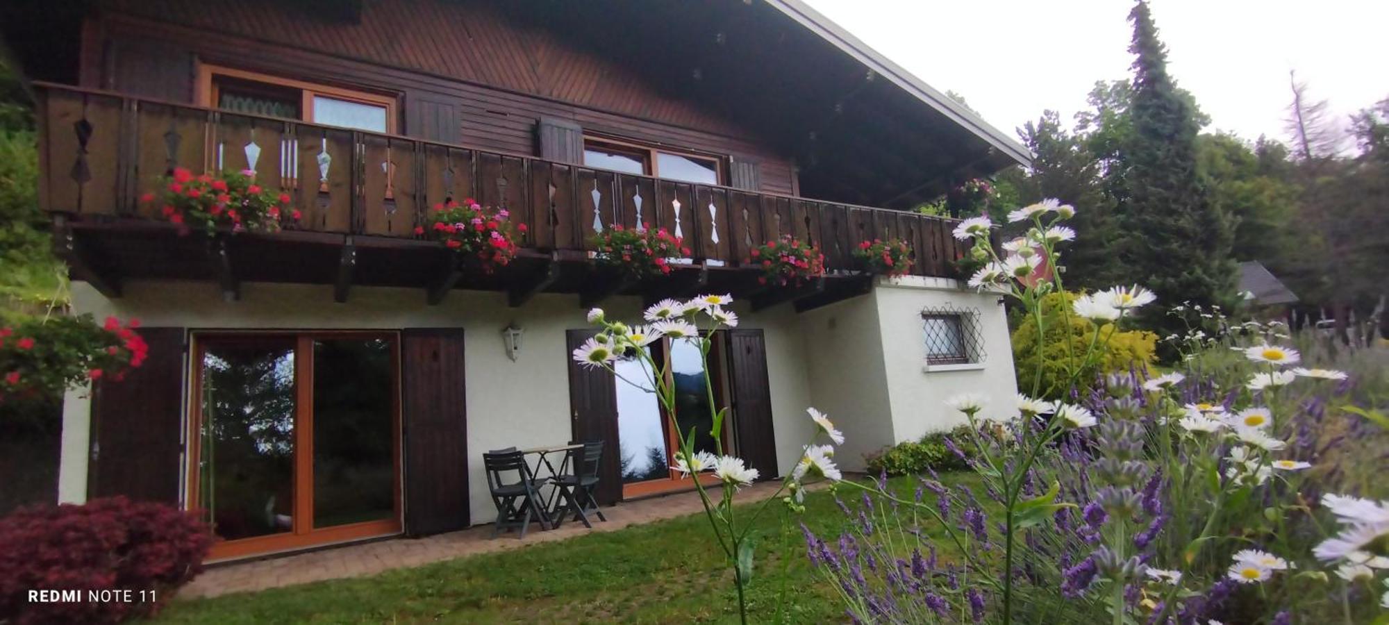 Chalet Au Bois Des Ecureuils Classe Trois Etoiles. Muhlbach-sur-Munster Extérieur photo