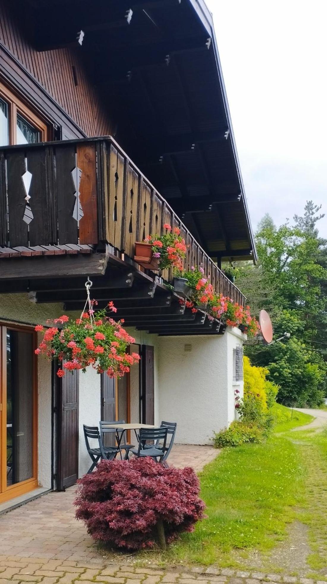 Chalet Au Bois Des Ecureuils Classe Trois Etoiles. Muhlbach-sur-Munster Extérieur photo